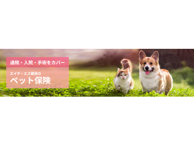 エイチ・エス損保のペット保険　12月12日（火）に販売開始