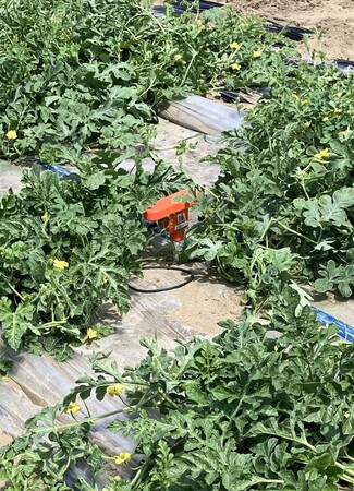 グローバル電子グループが農林水産省主催「アグリビジネス創出フェア」に初出展