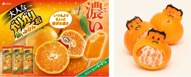 冬向けに、いつもよりちょっと贅沢な濃いガリガリ君！ みかん果汁44％使用の本格的な美味しさ！ みかんの皮で作るガリガリ君アートも赤城乳業公式SNSでお楽しみください♪ 「大人なガリガリ君濃いみかん」