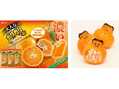冬向けに、いつもよりちょっと贅沢な濃いガリガリ君！ みかん果汁44％使用の本格的な美味しさ！ みかんの皮...