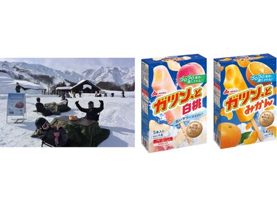 雪山のこたつで「ガツン、とみかん」！！ ゴロゴロ果肉で冬の贅沢な果実体験！ 2月23日（月）新発売「ガツ...