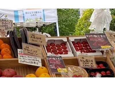 三井不動産レジデンシャル、東京湾岸エリア活性化プロジェクト「WANGAN ACTION」 SDGs をテーマにした「太陽のマルシェ」（第8回）を開催