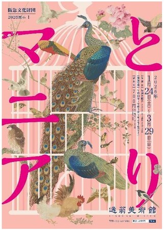 プレスリリース「2026展示I「とりマニア」を開催します」のイメージ画像