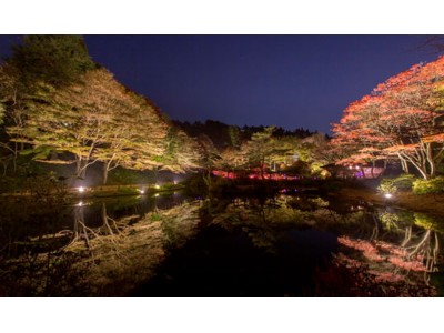 ライトアップされた紅葉とアートを楽しむ　六甲高山植物園　夜の紅葉散策　10月20日(金)～11月12日(日)開催！