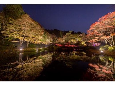 ライトアップされた紅葉とアートを楽しむ 六甲高山植物園　夜の紅葉散策 10月19日(金)～11月11日(日)開催！