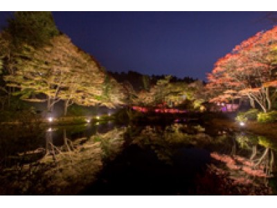 ライトアップされた紅葉とアートを楽しむ　六甲高山植物園　夜の紅葉散策　10月19日(金)～11月11日(日)開催！