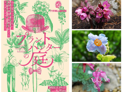 六甲高山植物園 初開催イベント 『プラントハンターの庭』 3月19日（土）～6月19日（日）