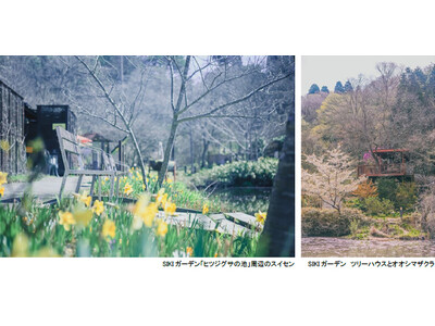 ROKKO森の音ミュージアム SIKIガーデンSpring Season六甲山の花と新緑の季節到来202...