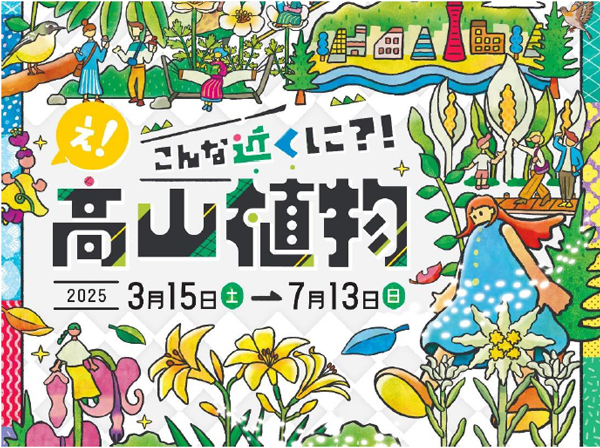 【六甲高山植物園】新イベント開催決定！ 憧れの高嶺の花々に出会える「え！こんな近くに？！高山植物」展