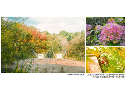 ROKKO森の音ミュージアム SIKIガーデンAutumn Season 紅葉の見頃は10月中旬～11月中旬 2025年8月23日（土）～11月30日（日）