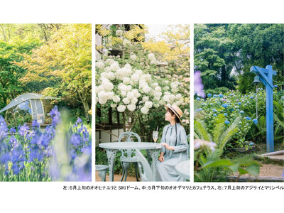 ROKKO森の音ミュージアム フェア「ハーモニー・オブ・ガーデン」 六甲山のナチュラルガーデンのフラワー...