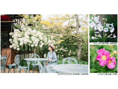 ROKKO森の音ミュージアム SIKIガーデンEarly Summer Season“Concerto”