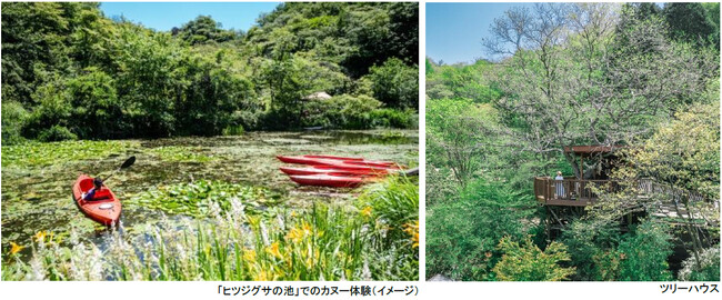 ROKKO森の音ミュージアム 神戸市街地より-5度の避暑地体験 「ROKKO山涼みフェス2026」開催 2026年7月18日（土）～20日（月・祝）