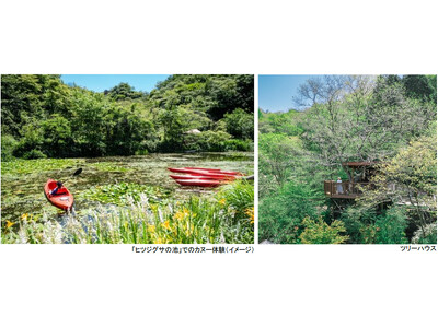 ROKKO森の音ミュージアム 神戸市街地より-5度の避暑地体験 「ROKKO山涼みフェス2026」開催 ...