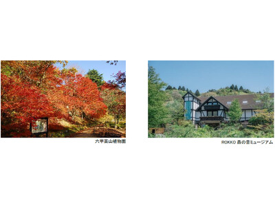六甲高山植物園 ROKKO森の音ミュージアム 文化の秋 月曜こども無料キャンペーン 秋の月曜日は、こども...
