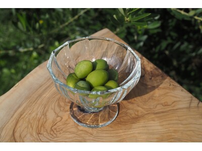 「樹齢千年のオリーヴ大樹」の果実　初の「新漬け」製品化へ