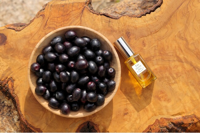 Otonamiコラボ企画、次回5月参加者募集　オリーヴ兄弟・弟による、大人のための非日常体験プログラム