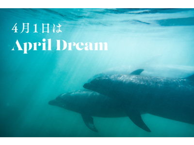 壱岐イルカパーク&リゾート、日本で一番イルカが幸せな飼育施設となり、日本で唯一のイルカと泊まれるリゾート開発を目指す。そして、人とイルカが共存できる、サンクチュアリになる！