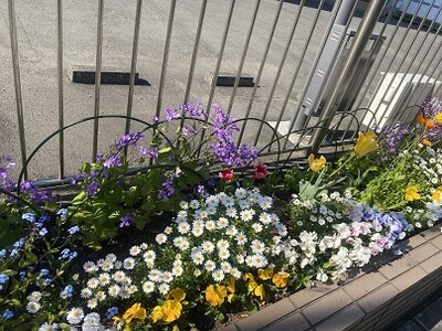 【東京都町田市】花の香り漂う美しいまちづくり　2023年度春の花壇コンクール受賞団体を発表！