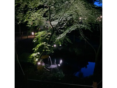 【東京都町田市】光と影が織りなす、静かで豊かな時間　鶴川香山園ライトアップを実施します