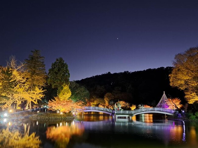 【東京都町田市】町田薬師池公園四季彩の杜で秋を堪能しよう！「秋遊び2025～来て、見て、体験して 誰かに教えたくなるDays～」開催します