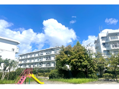 �y�����s���c�s�z�u���R�c����c�nPLAY DAY!�@2026�v���J�Â��܂�