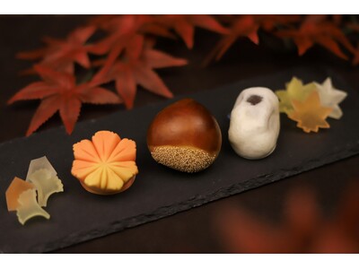 栗饅頭や紅葉を表現した上生菓子など、秋の和菓子を味わう。130年以上愛される串本の老舗和菓子店「儀平」と...