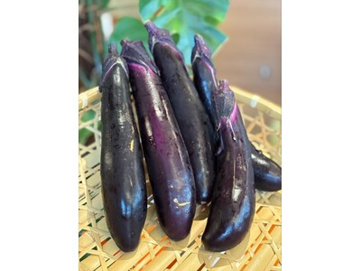 蘭越町の脱サラ夫婦など7人で結成された農家グループ「Hokkaido Agriculture Club頂」が育てた規格外野菜を朝食ブッフェで提供開始