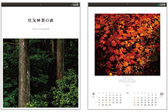 プレスリリース「2026年オリジナルカレンダー「住友林業の森」　抽選で400名様にプレゼント　応募締切：2025年11月22日（土）」のイメージ画像