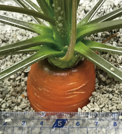 世界初の無菌・サステナブル人工土壌「クリスタルグレイン」を展開する株式会社ラテラ、京都大学イノベーションキャピタルより資金調達を実施