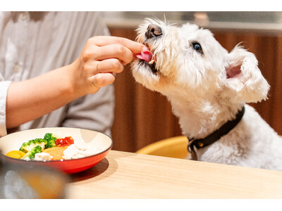 犬と泊まれる宿泊予約サイト「いぬやど -inuyado-」、広告サービス「いぬやどAD」を本格スタート
