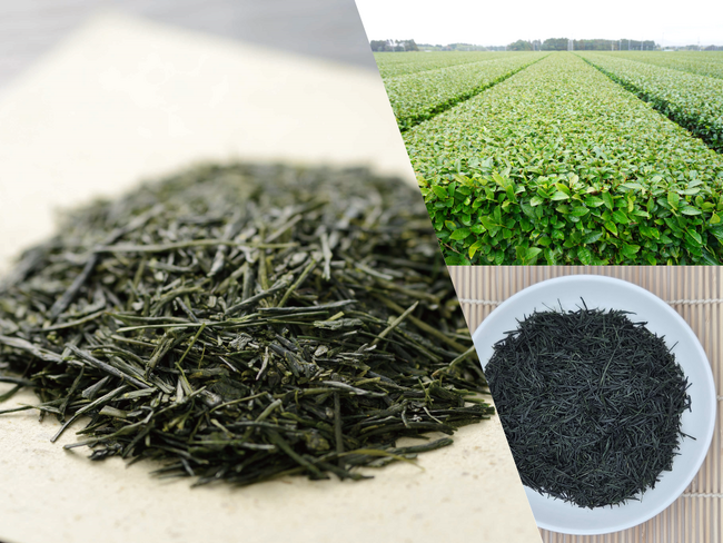 「日本茶」をはじめとする3産品を、地理的表示（GI）として登録