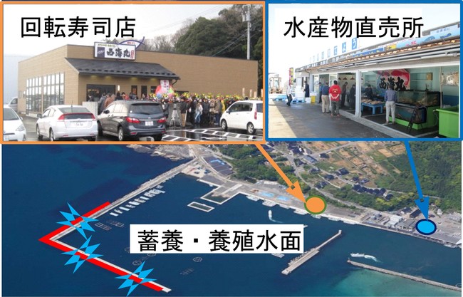 本年３月に策定された「新たな水産基本計画」に注目！
