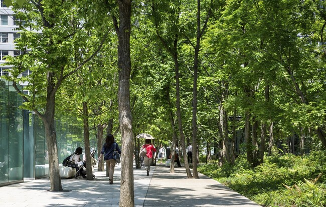 都市緑地がウェルビーイング向上に与える影響を科学的に検証 東京建物と森林総研、共同研究を「大手町の森」で開始