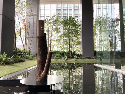 �����X�N�G�A�K�[�f���u�����̋u�v�Ŗ쒹�Ƃ̋����̌� �p�ނ��Đ����p�������W�F�l���e�B�u�ȁu�����̑����v��ݒu �������̗l�q�����C�u�J�����Ŋώ@�ł���r���[�C���O�W����