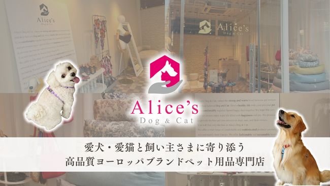 【Alice's Dog & Cat】オンラインで10年、愛犬家達に選ばれ続けてきた品質。 東京代官山にショールームOPEN