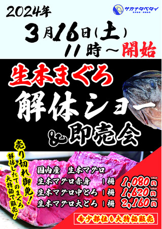 『サカナタベタイMEGAドン・キホーテ本八幡』の和歌山産生本まぐろの解体ショー＆即売会は、2024年3月16日（土）11時スタート!!