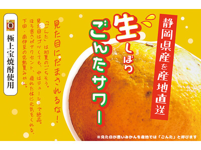 完熟・夏ミカンの生搾りサワーで爽やかに乾杯!「生しぼり ごんたサワー」キャンペーン開始宝焼酎ボトルを注文...