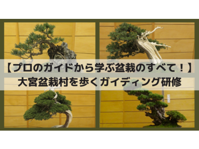 【プロのガイドから学ぶ盆栽のすべて！】大宮盆栽村を歩くガイディング研修