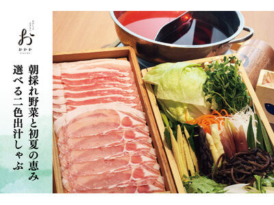 【出汁しゃぶおばんざい おかか】お出汁で食す 朝採れ新鮮野菜、季節限定「朝採れ野菜と初夏の恵み 選べる二...