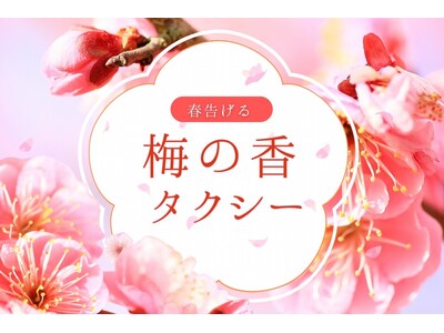 日本交通・東京観光タクシーで、ひと足早い“お花見”を　「梅の香タクシー」期間限定運行