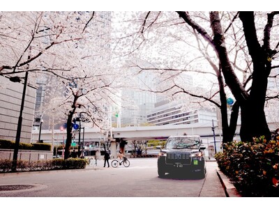 タクシーの機動性を活かした、春の思い出づくり　日本交通グループ「お花見タクシー」期間限定運行