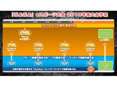 ジャパン Eスポーツ プロライセンス認定タイトル ぷよぷよ 東京ゲームショウ2018での大会の開催やランキングポイント対象大会主催の公募等 新情報を公開 企業リリース 日刊工業新聞 電子版