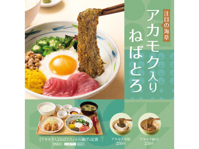 「やよい軒」全国の店長が選んだ、『【アカモク入】ねばとろとから揚げの定食』おすすめポイント！　1 位『ネ...