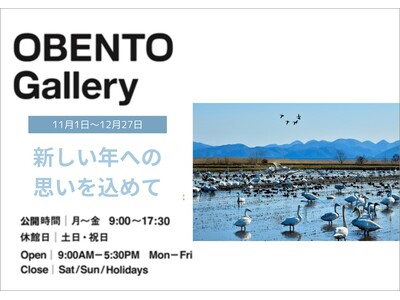 Plenus OBENTO Gallery 「新しい年への思いを込めて」展　11月１日（金）より開催