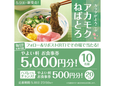 ダブルチャンス!「やよい軒」公式X・Instagramで実施 アカモクねばとろ定食発売記念キャンペーン
