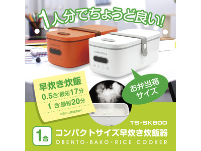 Thanko USB Heated Lunchbox Obento