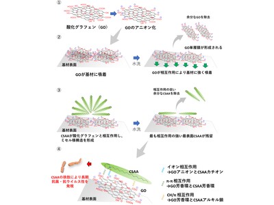 酸化グラフェンによる抗菌・抗ウイルス剤の基材定着メカニズムを解明                                       