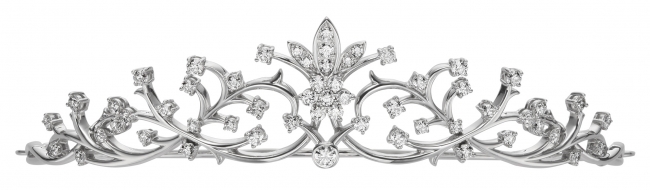 Ponte Vecchio Takami Bridal コラボレーションブ 株式会社 ポンテヴェキオ ホッタ プレスリリース