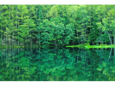 �M�a�z�[���f�B���O�X��Áu�����O���[���v�t�H�g�E�R���e�X�g���ʔ��\�I